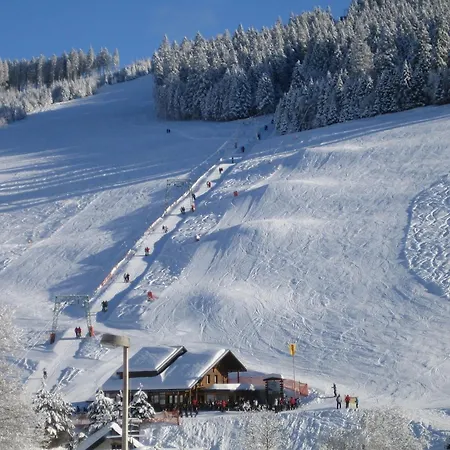 Buehlhof 3 * Тодтнауберг